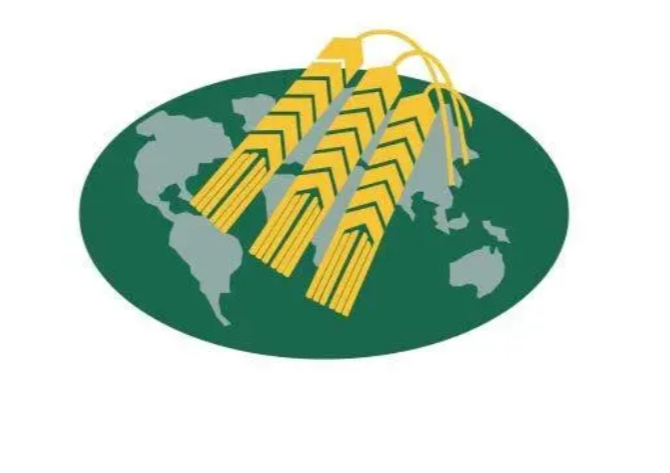 The 15th International Barley Genetics Symposium